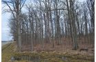 Property photo 34 - 98+/- Acres Offered in 6 Tracts or Combinations, Noble County, Indiana Farm